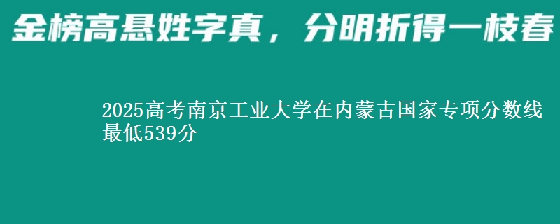 2025高考南京工业大学在内蒙古国家专项分数线 最低539分