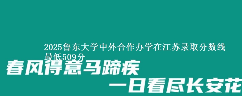 2025鲁东大学中外合作办学在江苏分数线：最低509分
