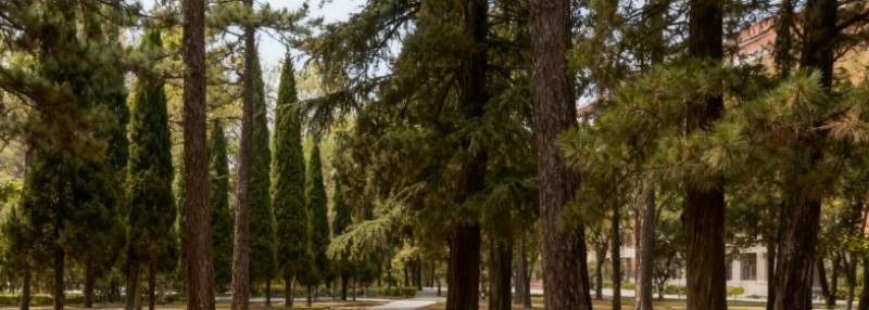 2025中国海洋大学江苏分数线：最低615分