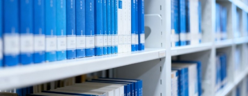 华南师范大学2025浙江分数线和计划：最低619分