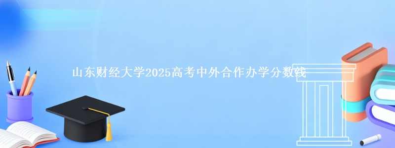 山东财经大学2025年中外合作办学分数线