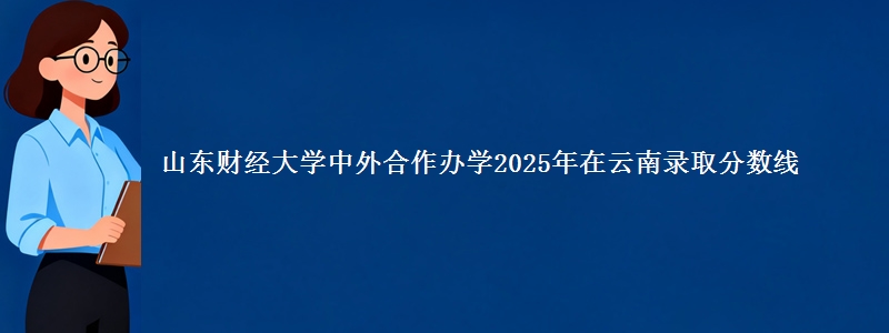 山东财经大学中外合作办学2025年在云南录取分数线