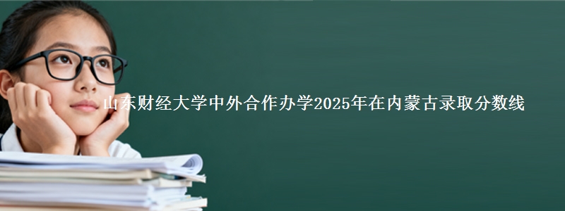 山东财经大学中外合作办学2025年在内蒙古录取分数线