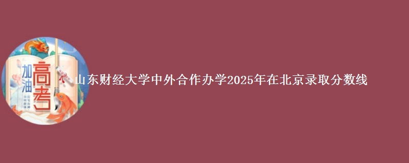 山东财经大学中外合作办学2025年在北京录取分数线