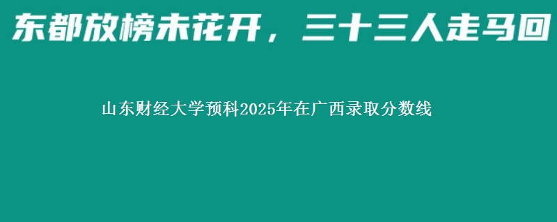 山东财经大学预科2025年在广西录取分数线