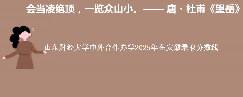 山东财经大学中外合作办学2025年在安徽录取分数线
