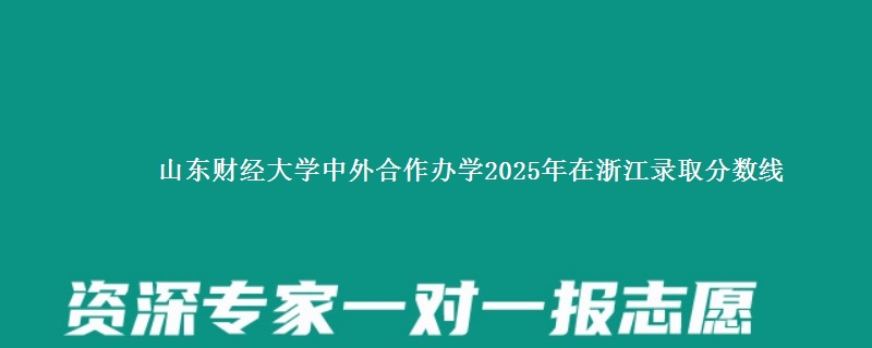 山东财经大学中外合作办学2025年在浙江录取分数线