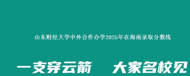 山东财经大学中外合作办学2025年在海南录取分数线