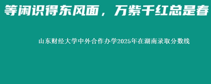 山东财经大学中外合作办学2025年在湖南录取分数线