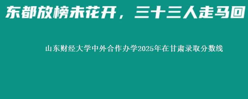 山东财经大学中外合作办学2025年在甘肃录取分数线
