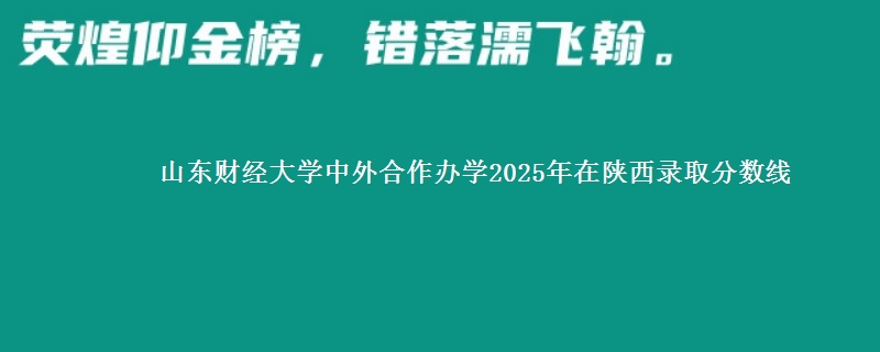 山东财经大学中外合作办学2025年在陕西录取分数线