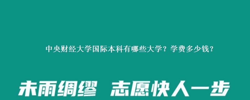 中央财经大学国际本科有哪些大学？学费多少钱？