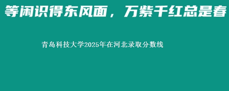 青岛科技大学2025年在河北录取分数线