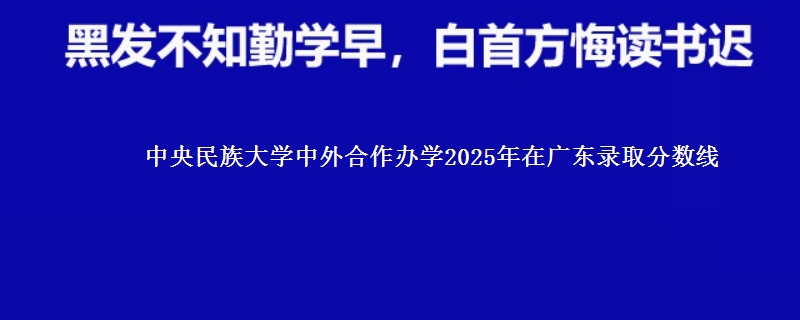 中央民族大学中外合作办学2025年在广东录取分数线