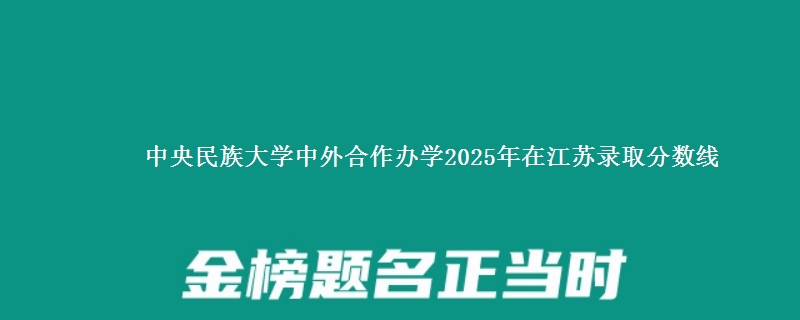 中央民族大学中外合作办学2025年在江苏录取分数线
