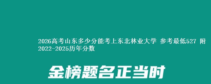 2026山东多少分能考上东北林业大学 参考最低527