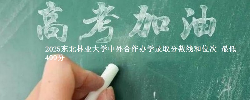 2025东北林业大学中外合作办学录取分数线和位次 最低499分