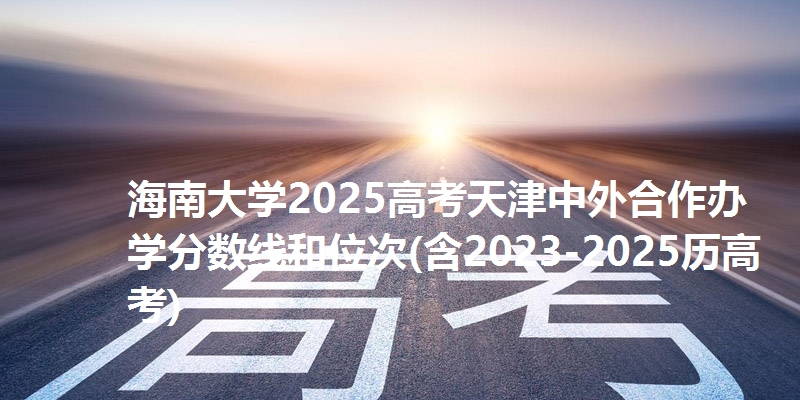 海南大学2025高考天津中外合作办学分数线和位次(含2023-2025历高考)