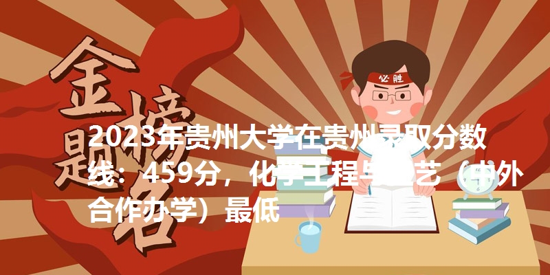 2023年贵州大学在贵州录取分数线：459分，化学工程与工艺（中外合作办学）最低