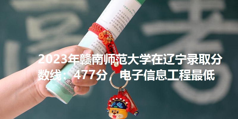 2023年赣南师范大学在辽宁录取分数线：477分，电子信息工程最低