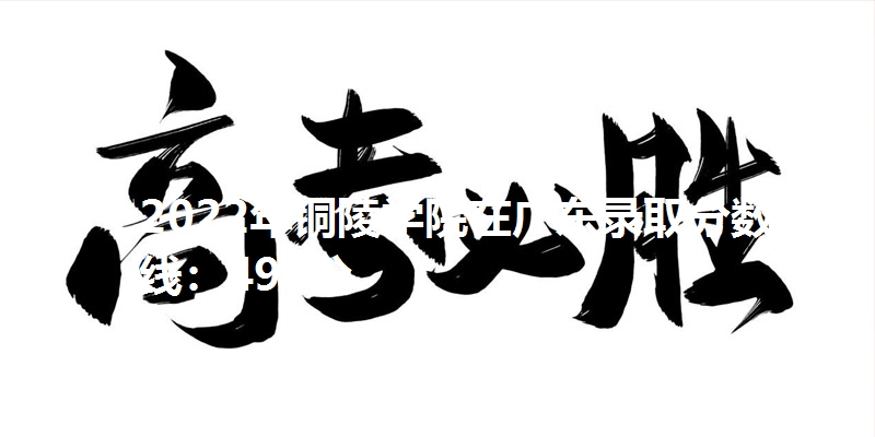 2022年铜陵学院在广东录取分数线：498分