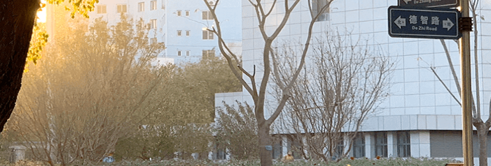 2022首都医科大学录取分数线 北京提前批最低517分