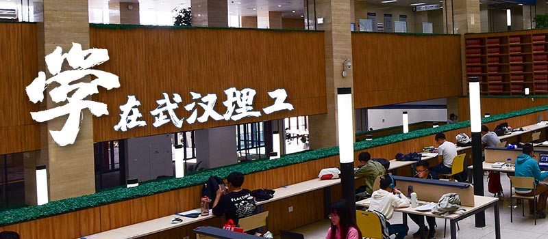 2025武汉理工大学中外合作金融学分数线 2026报考参考