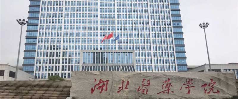 湖北医药学院2025录取分数线（各省最低分专业汇总）