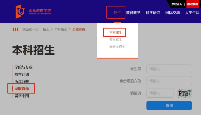 青岛城学院录取查询官网入口及查询指南