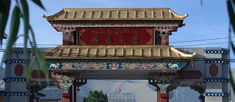 西藏大学2025在西藏本科一批最低分和计划 西藏大学2025在西藏本科一批最低分和计划