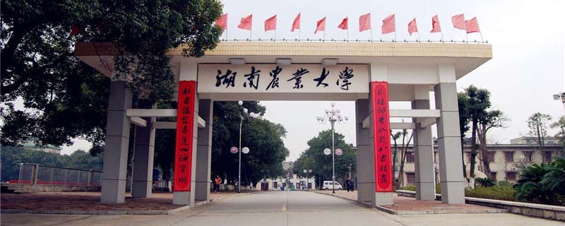 2025湖南农业大学录取分数线和位次 计算机和电子信息分数最高