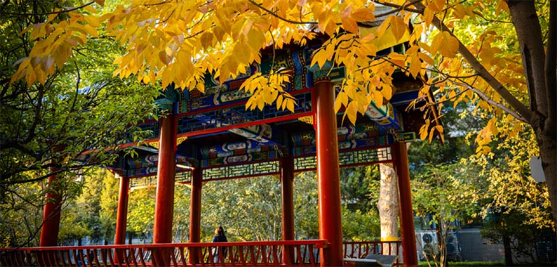 2025年中国农业大学在天津分数线和招生计划：最低643分