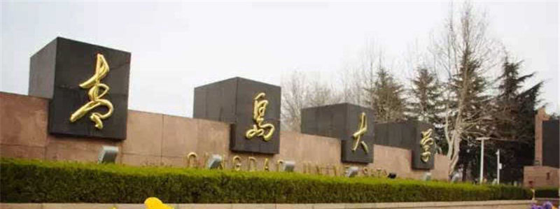 2025年青岛大学在山东普通类专业分数线和位次:最低547分