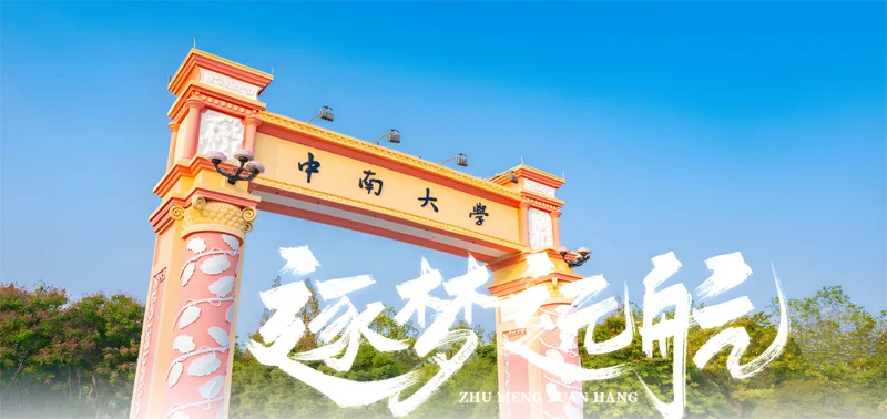 中南大学有哪些中外合作办学专业?学费多少钱