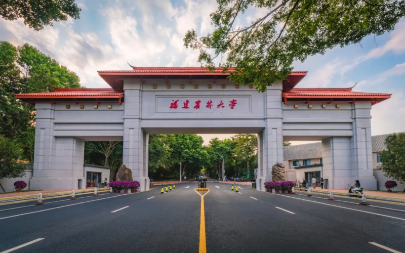 福建农林大学录取分数线 福建农林大学录取分数线