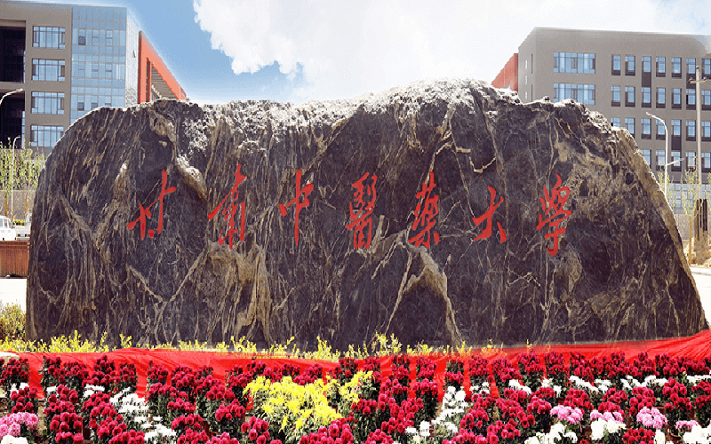 甘肃中医药大学分数线2025：最低分排名与2026年参考