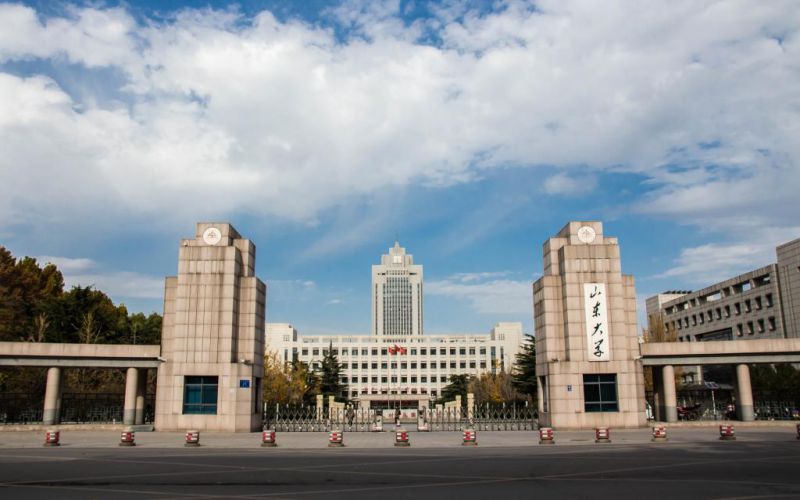 山东大学2025年全国各专业录取分数线