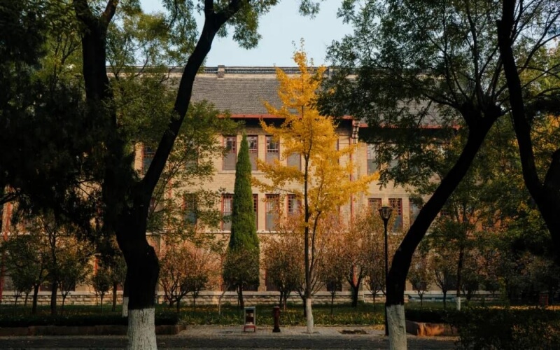 山东大学2025年各专业录取分数线