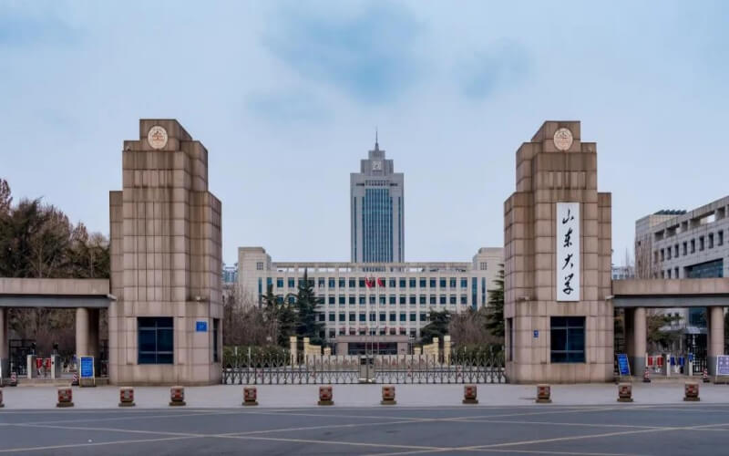 山东大学2025年各专业录取分数线