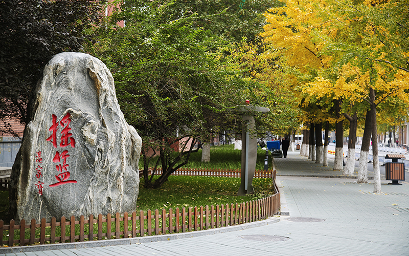 中国地质大学