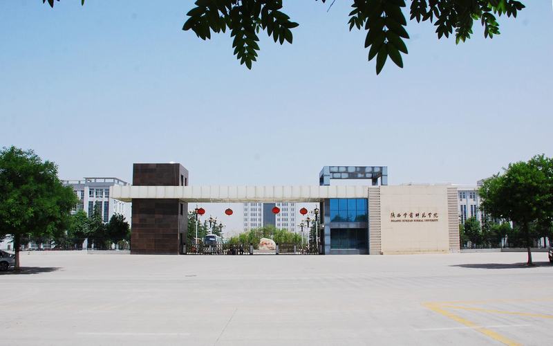 考陕西学前师范学院要多少分？各省录取数据解读