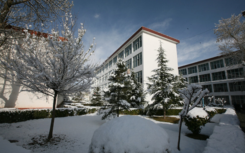 广西普通批物理类西藏大学2027参考分