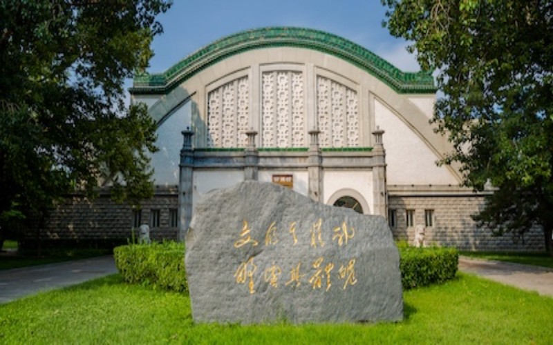 黑龙江体育类体育(文)北京体育大学2027参考分