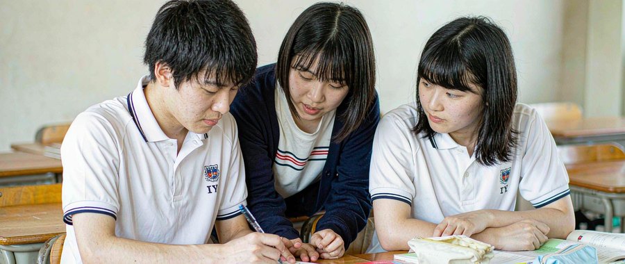 青岛农业大学河北物理类录取分数线2026：分专业最低分、位次