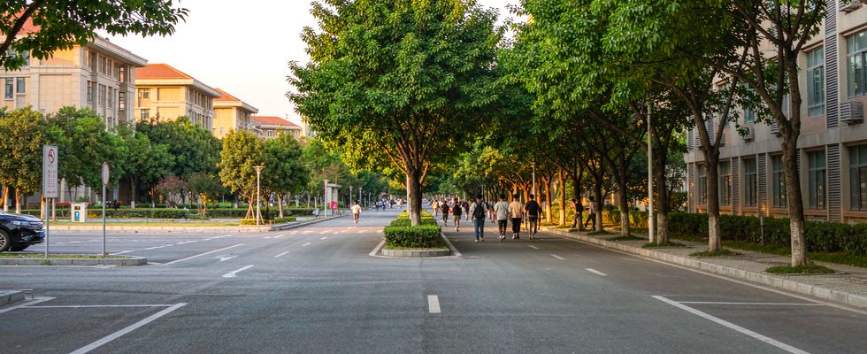 中国石油大学（北京）录取分数线