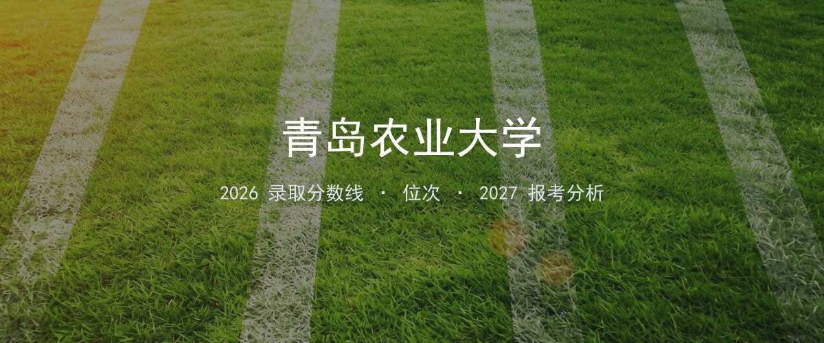 青岛农业大学宁夏2026录取分数线