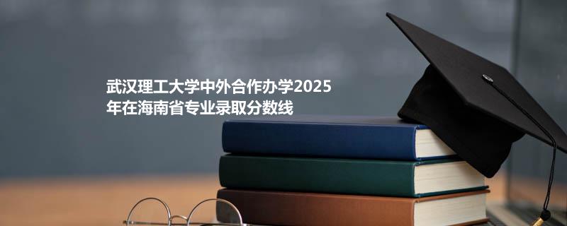 武汉理工大学中外合作办学2025在海南分专业分数线和最低位次