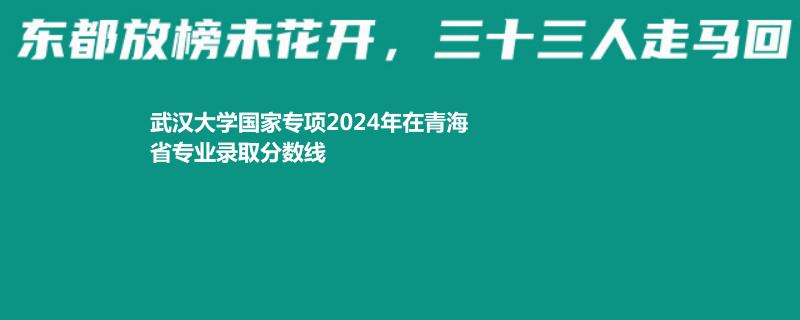 武汉大学国家专项2024年在青海省专业录取分数线