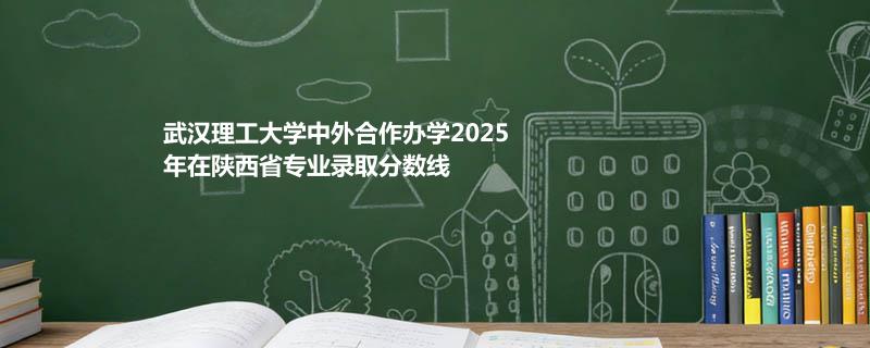 武汉理工大学中外合作办学2025在陕西分专业分数线和最低位次