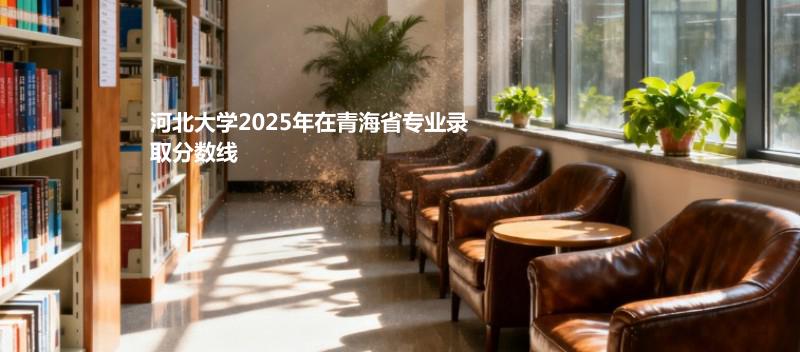 河北大学2025在青海专业录取最低分